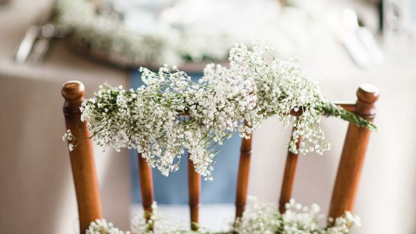 creative ways to use babys breath