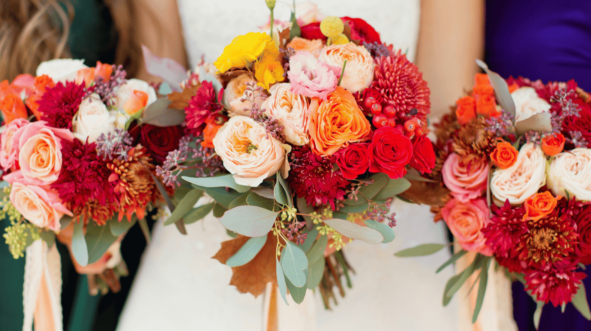 Choosing the Right Color of Roses for Every Occasion