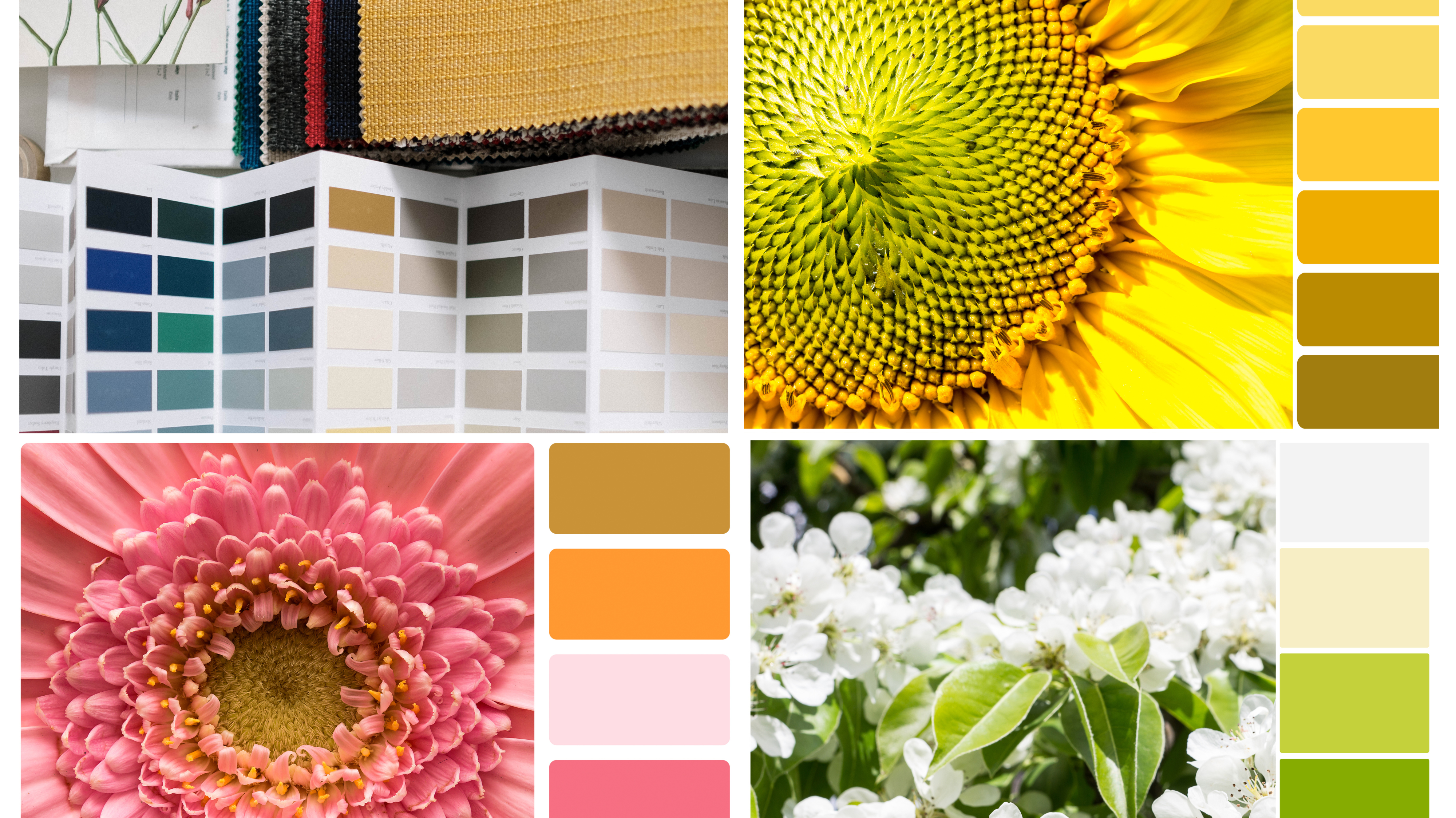 Flower Combinations Ideas For Designers