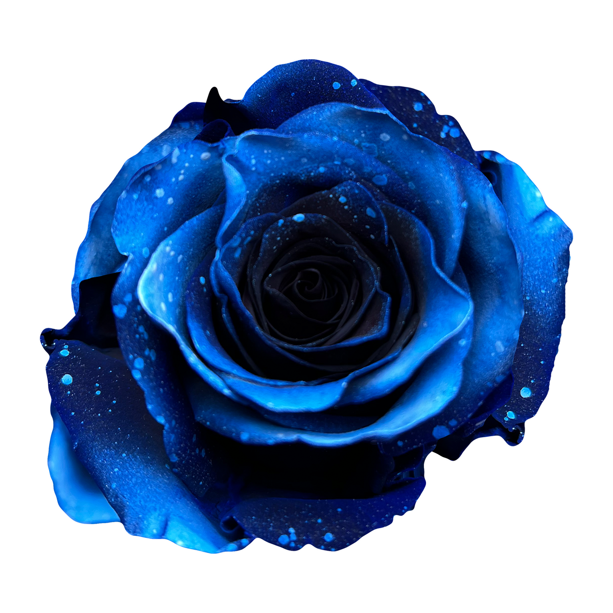 Blue Sparkle Moon Flower Explosion