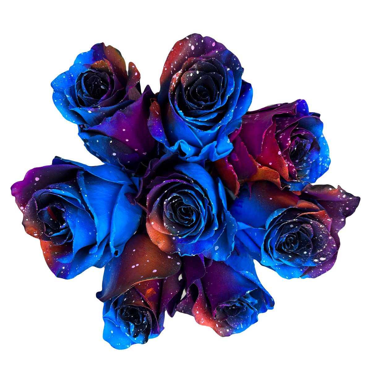 てぃんくる　版画　UNDERWATER BLUE ROSE てぃんくる 版画 UNDERWATER BLUE ROSE Yahoo!オークション