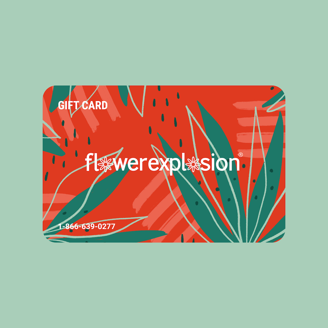 Flower Explosion Gift Cards Give The Gift of Fresh Flowers