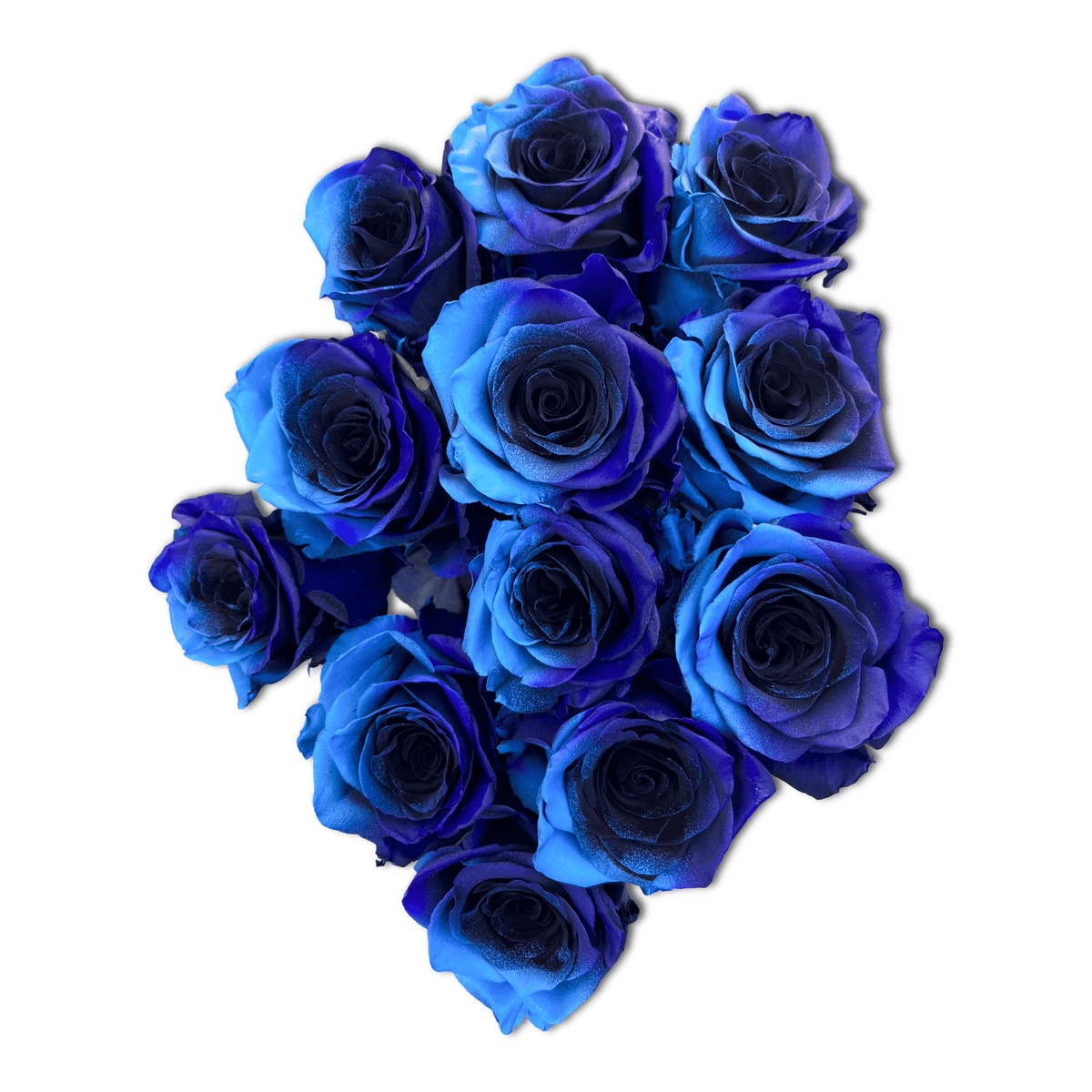 cosmic-blue-rose_1200x1200.png