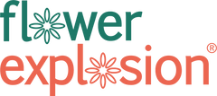 Flower Explosion logo in two lines flower in green and explosion in coral with flower-shaped os