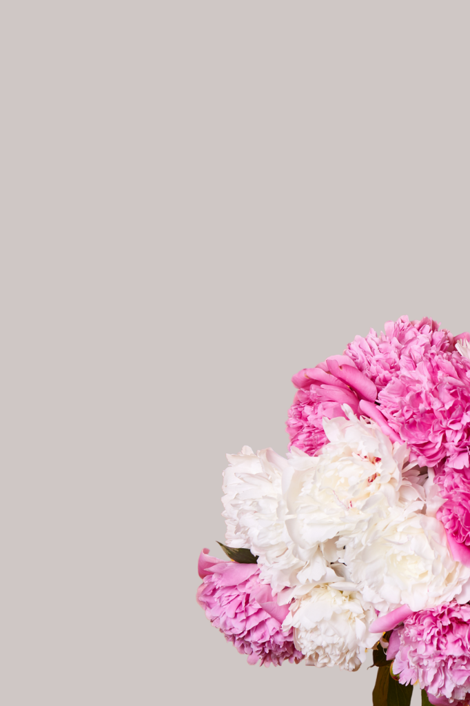 Mauve Tinted Rose