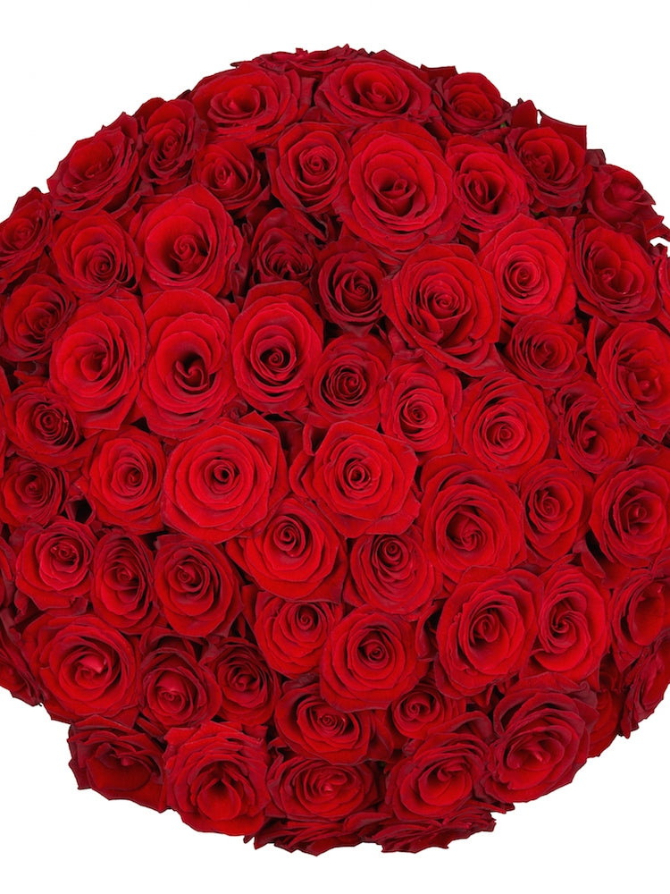 Bulk Red Roses
