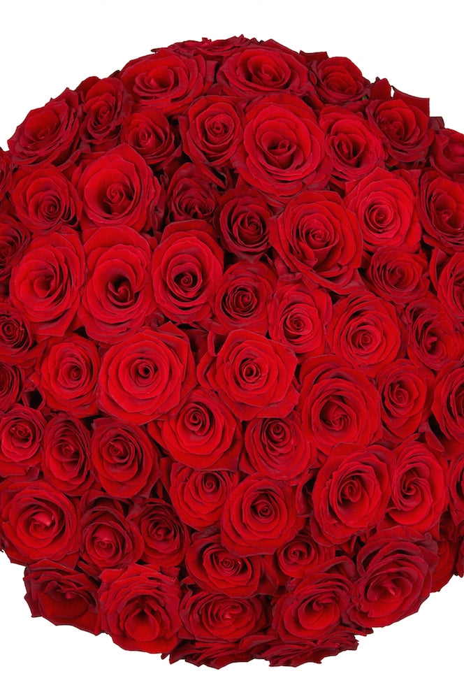 Bulk Red Roses