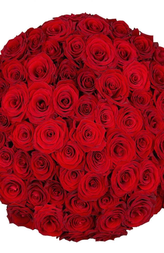 Bulk Red Roses