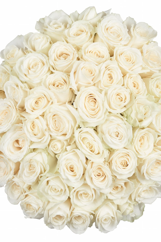 Bouquet White Roses