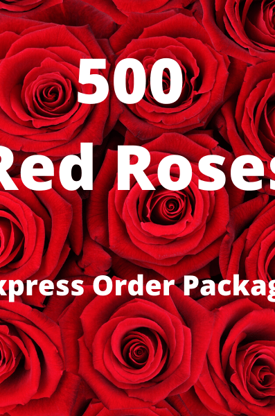 500 Red Roses Value Package