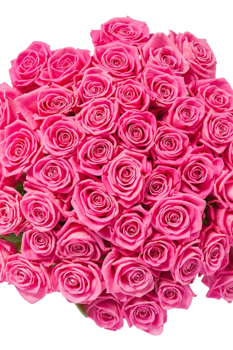 50 Pink Roses