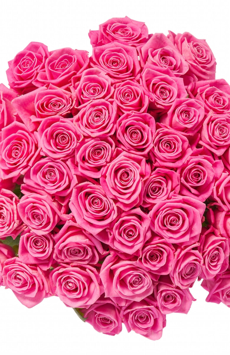 50 Pink Roses
