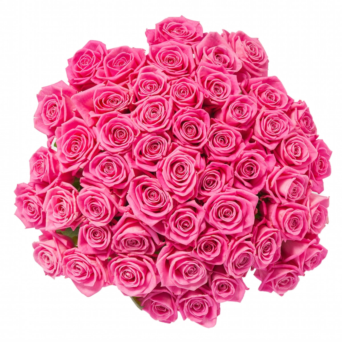 50 Pink Roses