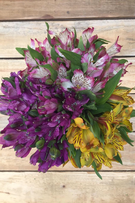 All The Feels - Alstroemerias Bouquet