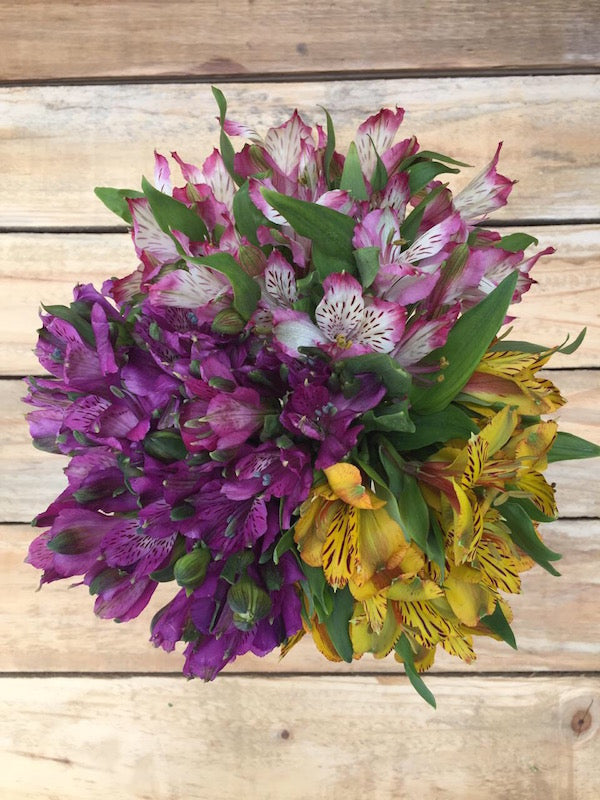 All The Feels - Alstroemerias Bouquet