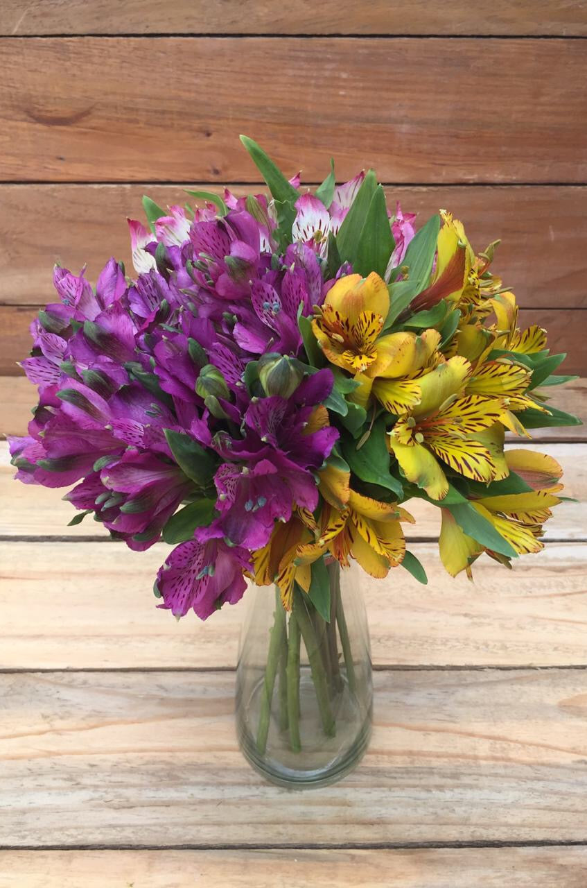 All The Feels - Mixed Alstroemerias Bouquet
