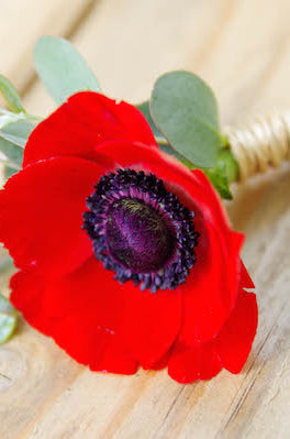 Anemone Red Boutonniere