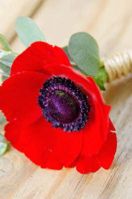 Anemone Red Boutonniere