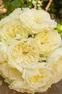 Annice Garden Rose Bouquet