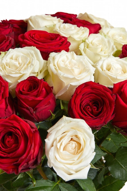 red and white roses bouquet