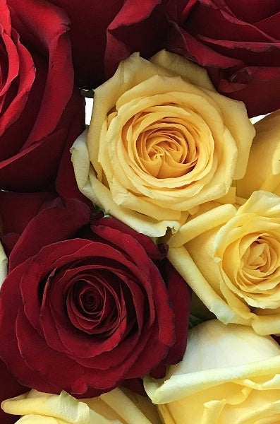 Red and Yellow Roses Combo