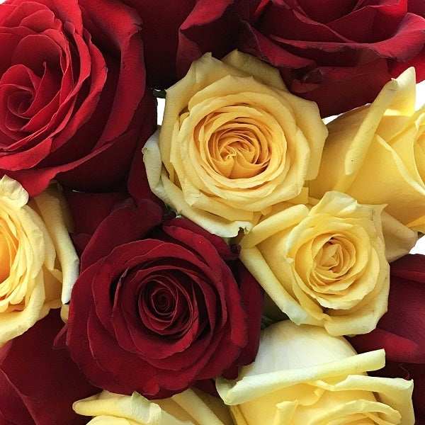Red and Yellow Roses Combo