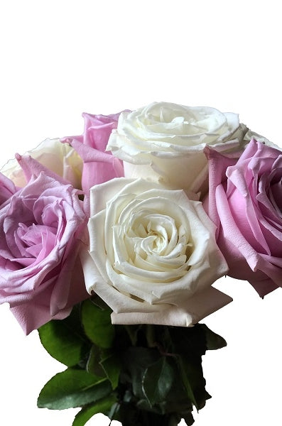assorted lavender white roses