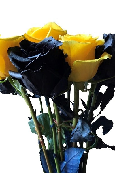 Assorted Black and Yellow Roses