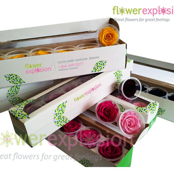 Mix Preserved Roses
