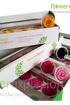 Mix Preserved Roses