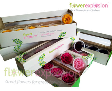 Mix Preserved Roses