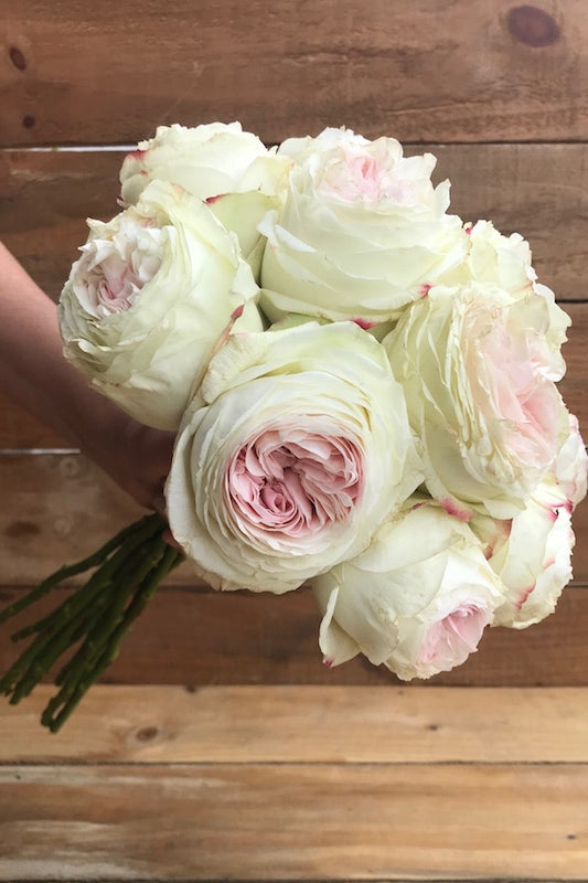Pink Vintage Austin Garden Roses