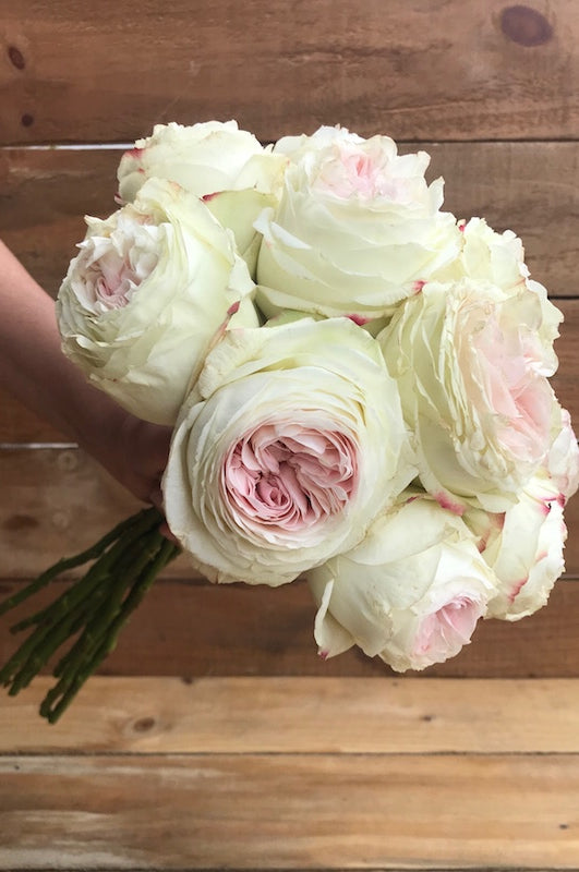 Pink Vintage Austin Garden Roses