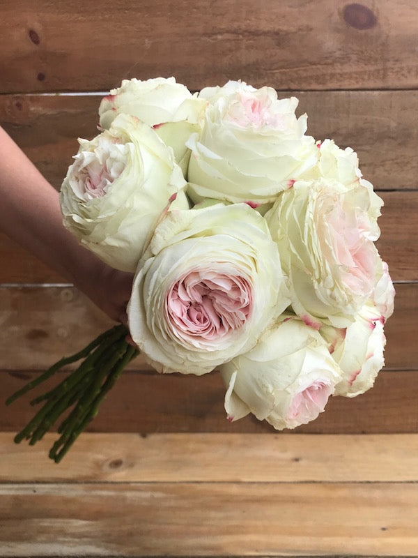 Pink Vintage Austin Garden Roses
