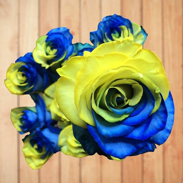 wood blue and yellow rose