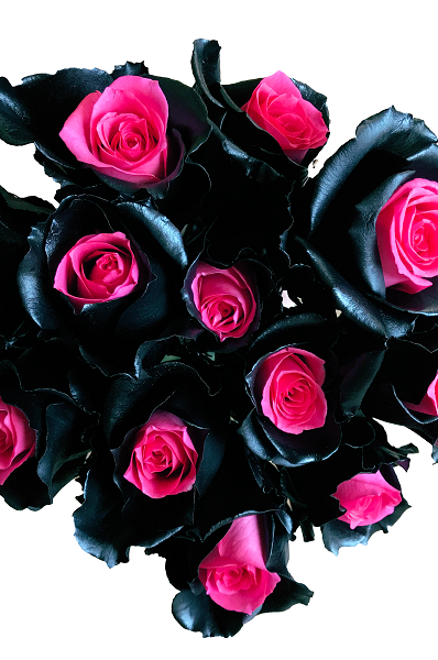 black pink bouquet