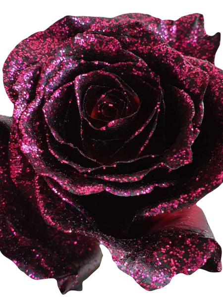 Queen of The Night Rose
