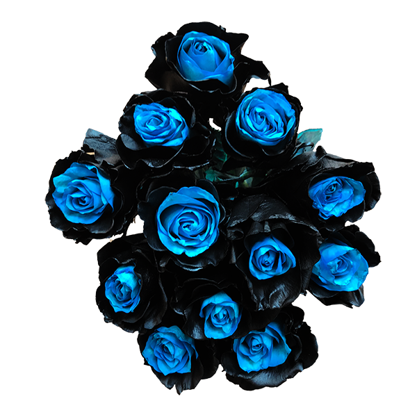 blue and black roses