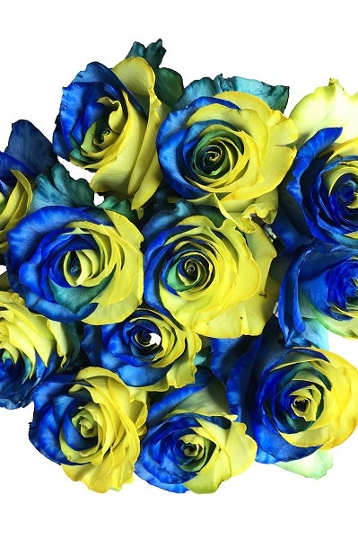 blue & yellow tinted roses