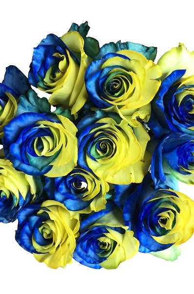 blue & yellow tinted roses