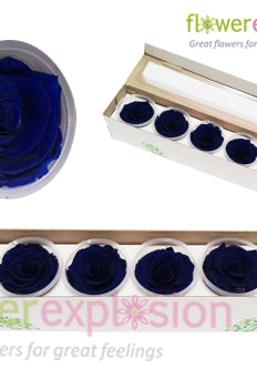 Blue Preserved Rose