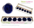 Blue Preserved Rose