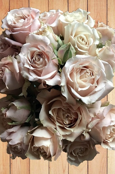 sand colored spray roses