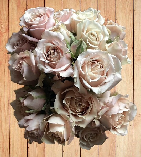 sand colored spray roses