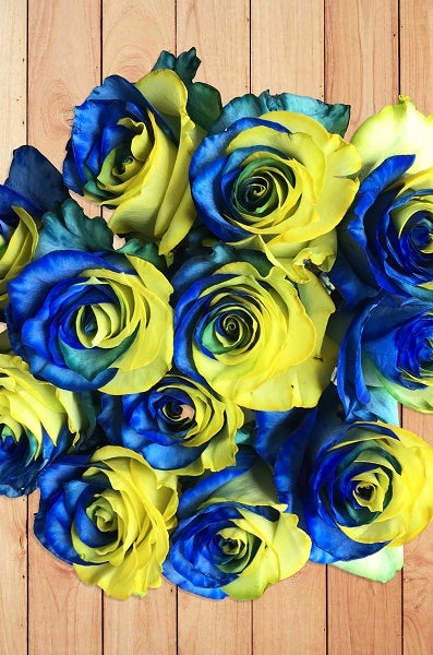 bouquet blue and yellow roses