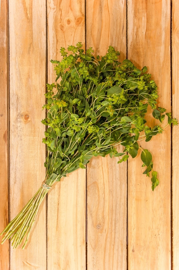 Bupleurum