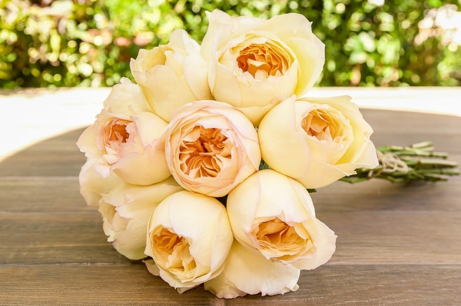 Caramel Antique Garden Rose Wedding