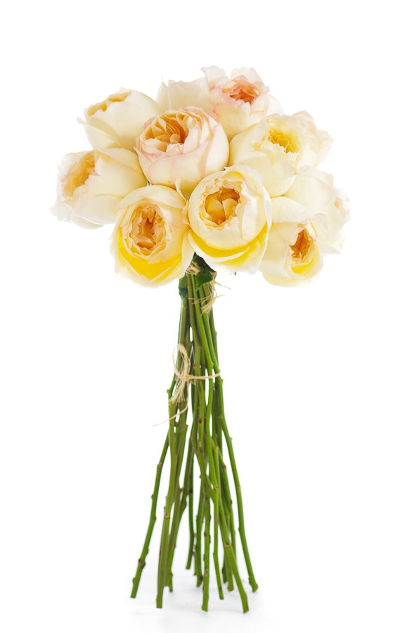 Caramel Antique Garden Roses