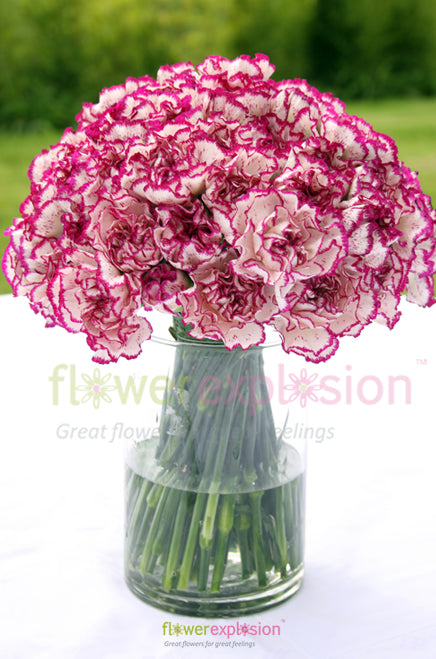 Purple & White Carnations Centerpiece