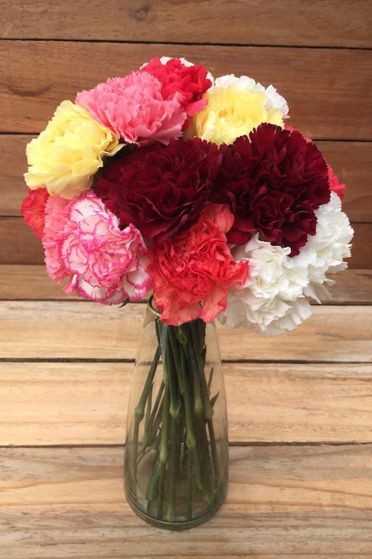Charming Bouquet - Mixed Color Carnations